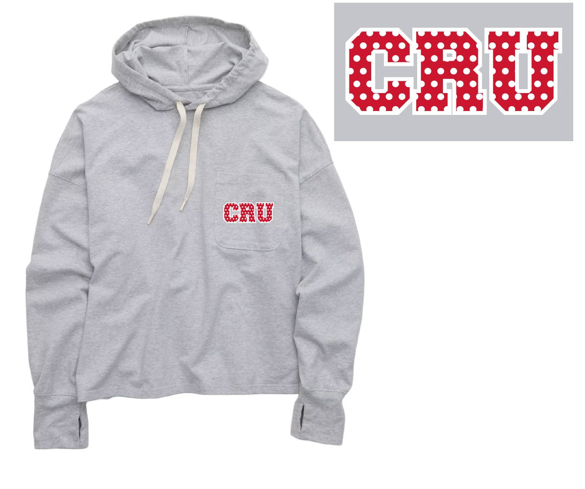 Aerie brand lightweight hoodie
